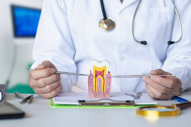 Best Pediatric Emergency Dentist in Richfield, UT